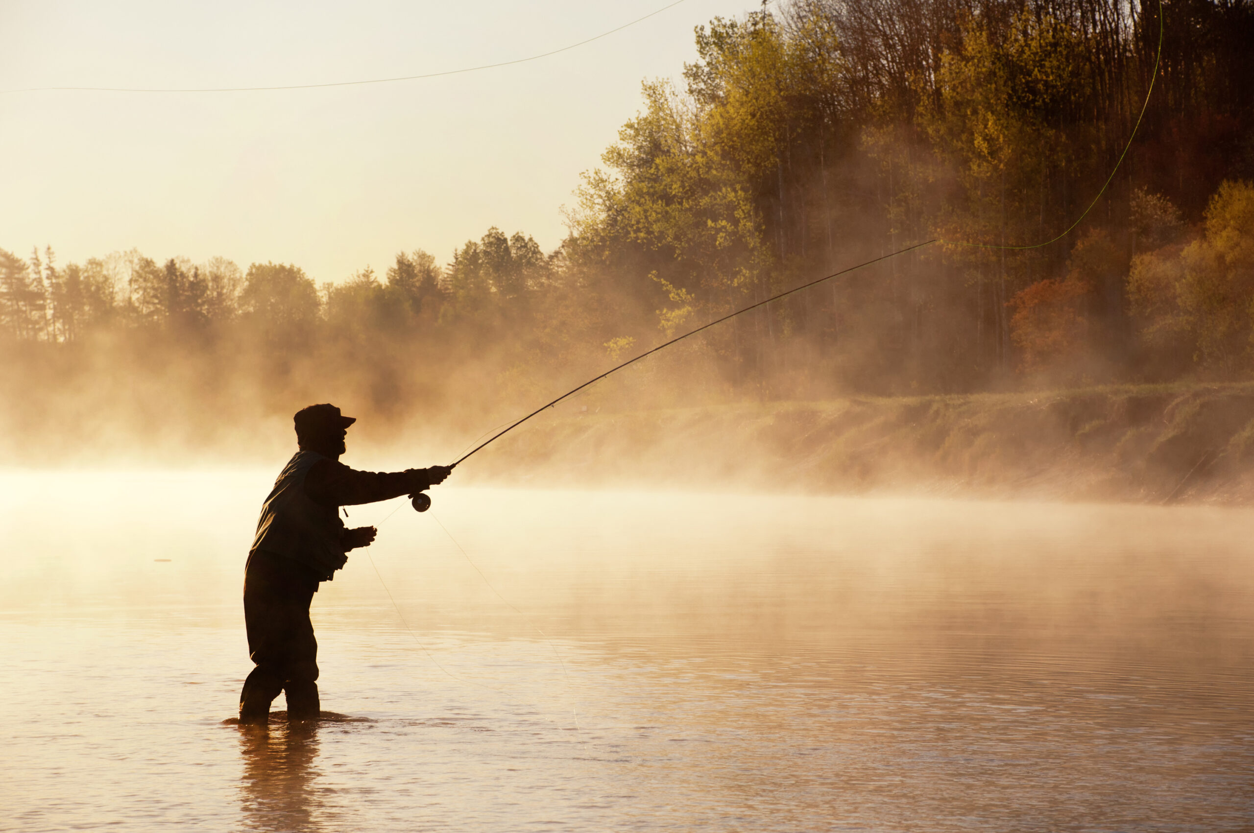 How to Fly Fish for Trout: The first book to read