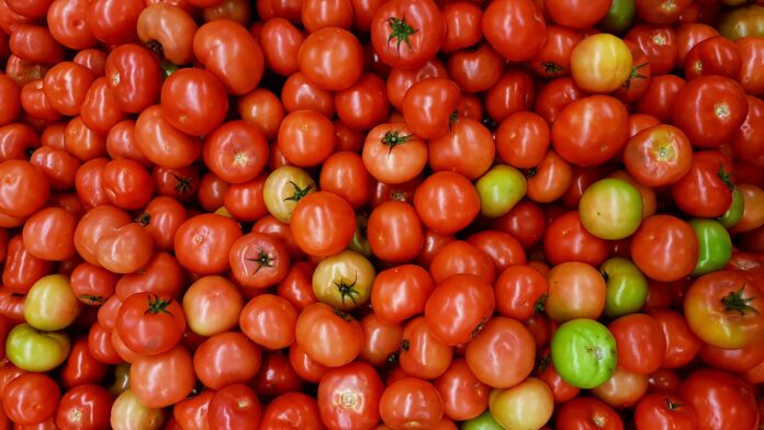 tomatoes, oral health